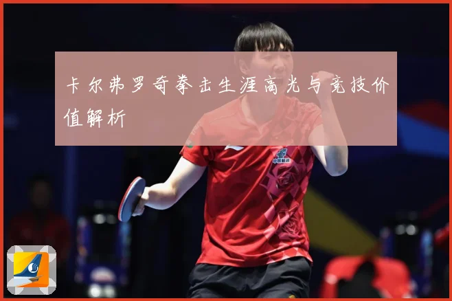 卡尔弗罗奇拳击生涯高光与竞技价值解析