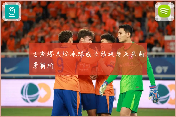 古斯塔夫松冰球成长轨迹与未来前景解析