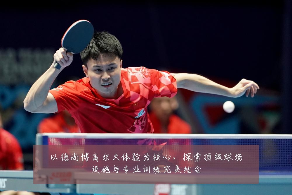 以德尚博高尔夫体验为核心，探索顶级球场设施与专业训练完美结合