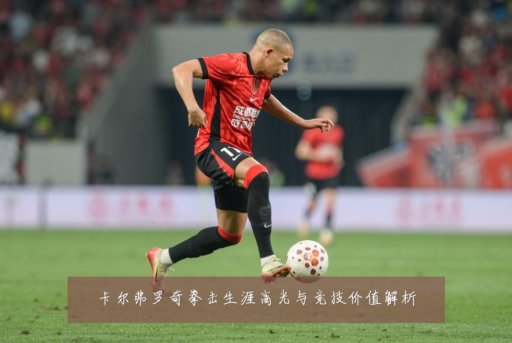 卡尔弗罗奇拳击生涯高光与竞技价值解析